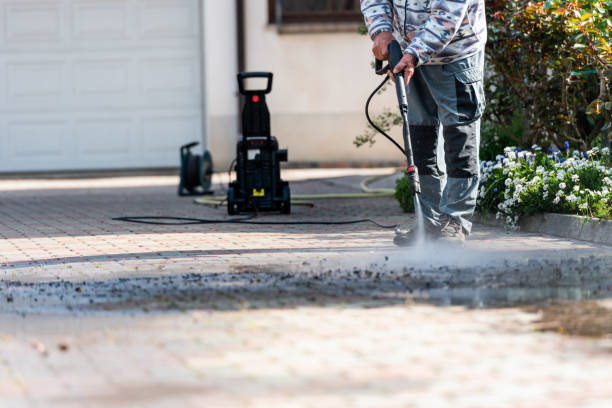 Best Pressure Washing Near Me  in Tecumseh, MI