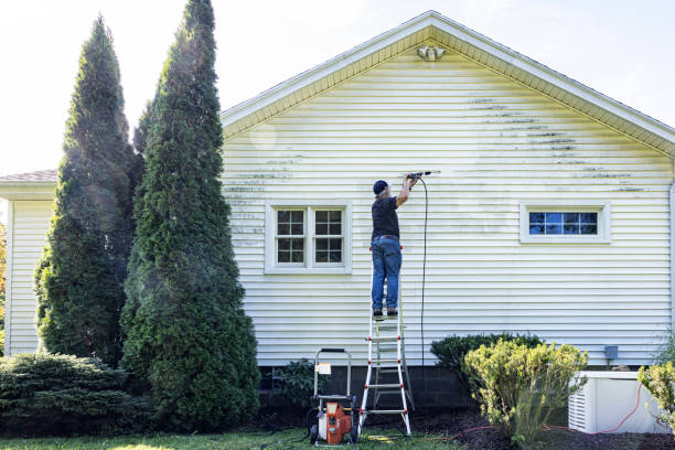 Best Commercial Building Pressure Washing  in Tecumseh, MI