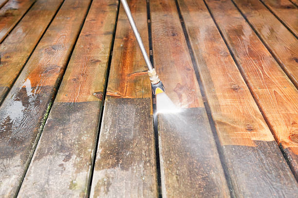 Best Pressure Washing Near Me  in Tecumseh, MI